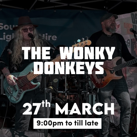 The Wonky Donkeys Live Band